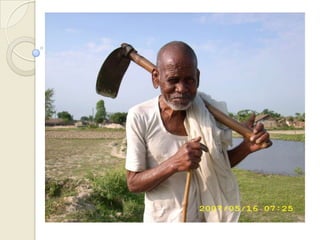 Алимны модНэгэн хаан өөрийн шадар түшмэдийн хамт морьтой зугаалж байжээ.Тэгээд замдаа алимны мод тарьж буй өвгөнтэй таарчээ.Хаан өвгөнийг ёжилмоор санагдаж:     Өвгөн гуай , Та ийм настай хүн байж хэзээ энэ модныхоо жимсийг авна гэж суулгаж байгаа юм бэ? Алимны мод ургаж гүйцээд жимсээ өгөх үе хүртэл нь та хүлээж чадах юмуу? гэж ихэд шоолонгуй асуув. 