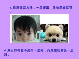 5. 恨就像回力球，一旦擲出，很快就會反彈。 6. 真正的考驗不是第一里路，而是旅程最後一里路。   