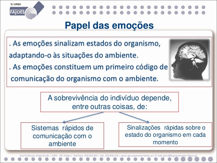 Qual é O Papel Tradicional Atribuído à Linguagem