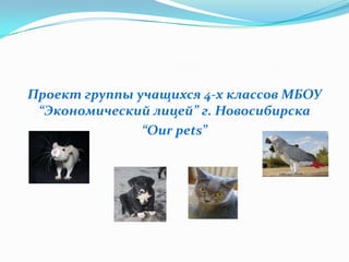 Проект группы учащихся 4-х классов МБОУ
“Экономический лицей” г. Новосибирска
“Our pets”
 
