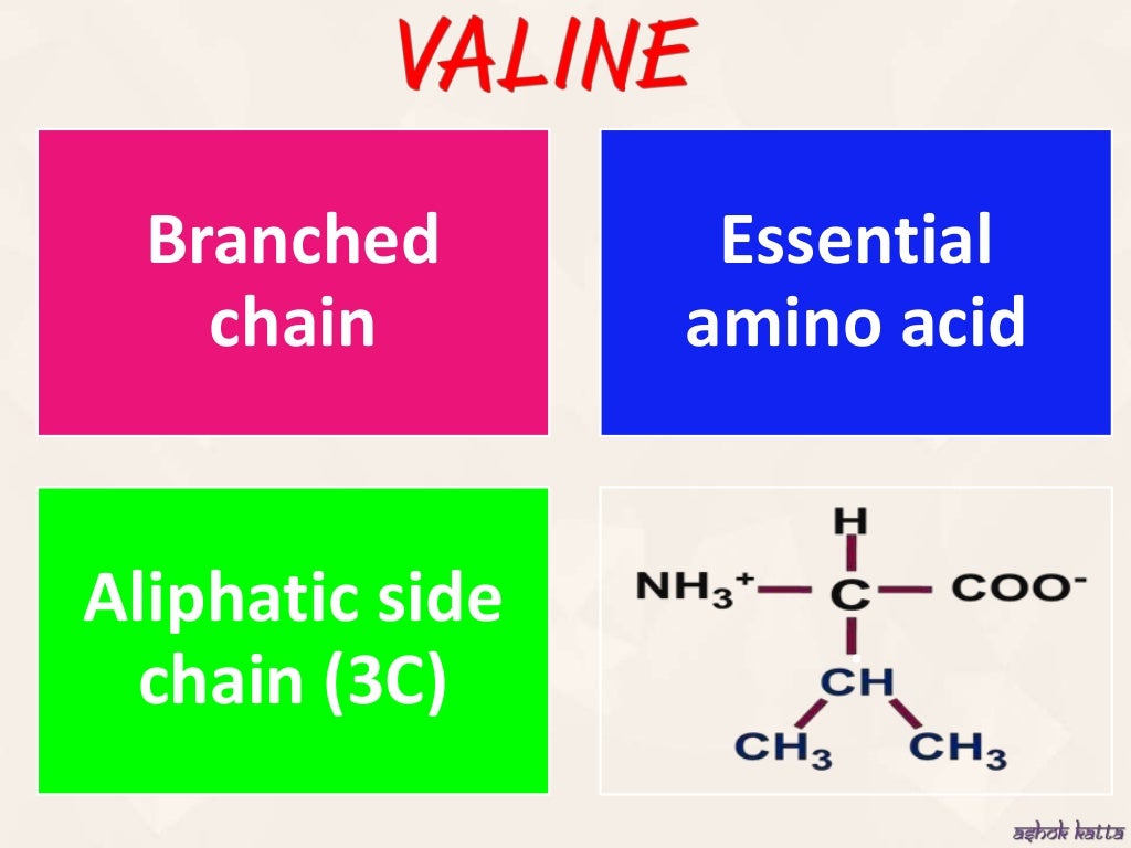Metabolism of Brached Chain Amino Acid (Valine, Isoleucine, Leucine)