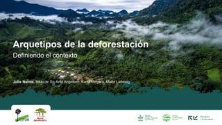 Definiendo el contexto
Julia Naime, Nikki de Sy, Arild Angelsen, Karla Vergara, Malte Ladewig
Arquetipos de la deforestación
 
