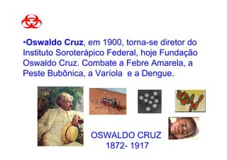 •Oswaldo Cruz, em 1900, torna-se diretor do
Instituto Soroterápico Federal, hoje Fundação
Oswaldo Cruz. Combate a Febre Amarela, a
Peste Bubônica, a Varíola e a Dengue.




                 OSWALDO CRUZ
                   1872- 1917
 