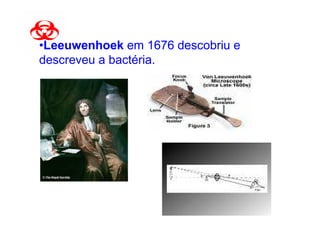 •Leeuwenhoek em 1676 descobriu e
descreveu a bactéria.
 