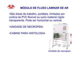 MÓDULO DE FLUXO LAMINAR DE AR

•São áreas de trabalho, portáteis, limitadas por
cortina de PVC flexível ou outro material rígido
transparente. Pode ser horizontal ou vertical.

•UNIDADE DE NECROPSIA

•CABINE PARA HISTOLOGIA




                                 Unidade de necropsia
 