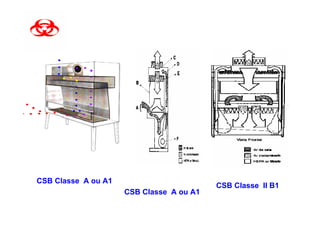 CSB Classe A ou A1
                                          CSB Classe II B1
                     CSB Classe A ou A1
 