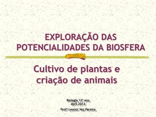 EXPLORAÇÃO DAS
POTENCIALIDADES DA BIOSFERA
Biologia 12º ano
abril 2013
Profª Leonor Vaz Pereira
Cultivo de plantas e
criação de animais
 