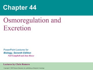Chapter 44 Osmoregulation and Excretion 