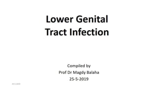 44  lower genital tract infection 10-5-2019