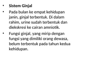 • Sistem Ginjal
• Pada bulan ke empat kehidupan
janin, ginjal terbentuk. Di dalam
rahim, urine sudah terbentuk dan
diekskresi ke cairan amniotik.
• Fungsi ginjal, yang mirip dengan
fungsi yang dimiliki orang dewasa,
belum terbentuk pada tahun kedua
kehidupan.
 
