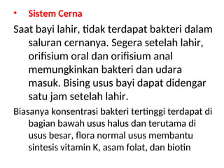 • Sistem Cerna
Saat bayi lahir, tidak terdapat bakteri dalam
saluran cernanya. Segera setelah lahir,
orifisium oral dan orifisium anal
memungkinkan bakteri dan udara
masuk. Bising usus bayi dapat didengar
satu jam setelah lahir.
Biasanya konsentrasi bakteri tertinggi terdapat di
bagian bawah usus halus dan terutama di
usus besar, flora normal usus membantu
sintesis vitamin K, asam folat, dan biotin
 