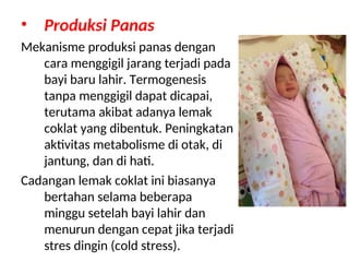 • Produksi Panas
Mekanisme produksi panas dengan
cara menggigil jarang terjadi pada
bayi baru lahir. Termogenesis
tanpa menggigil dapat dicapai,
terutama akibat adanya lemak
coklat yang dibentuk. Peningkatan
aktivitas metabolisme di otak, di
jantung, dan di hati.
Cadangan lemak coklat ini biasanya
bertahan selama beberapa
minggu setelah bayi lahir dan
menurun dengan cepat jika terjadi
stres dingin (cold stress).
 