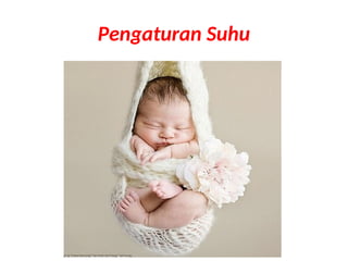 Pengaturan Suhu
 