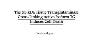 The 55 kDa Tissue Transglutaminase
Cross-Linking Active Isoform TG
Induces Cell Death
Danstan Mogire
 
