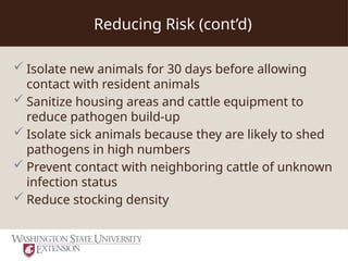 Bovine Respiratory Disease Risk Reduction .ppt