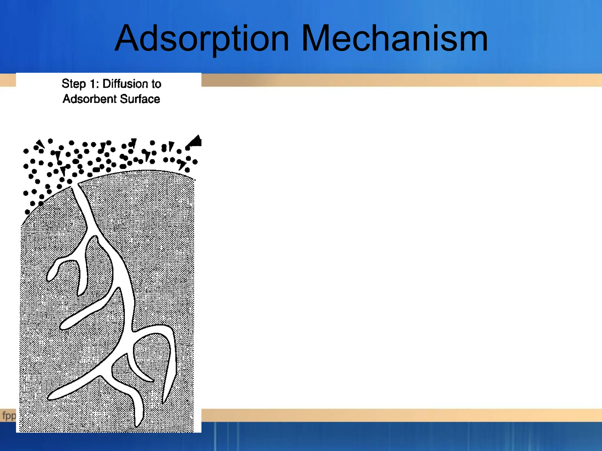 Adsorption Mechanism
 