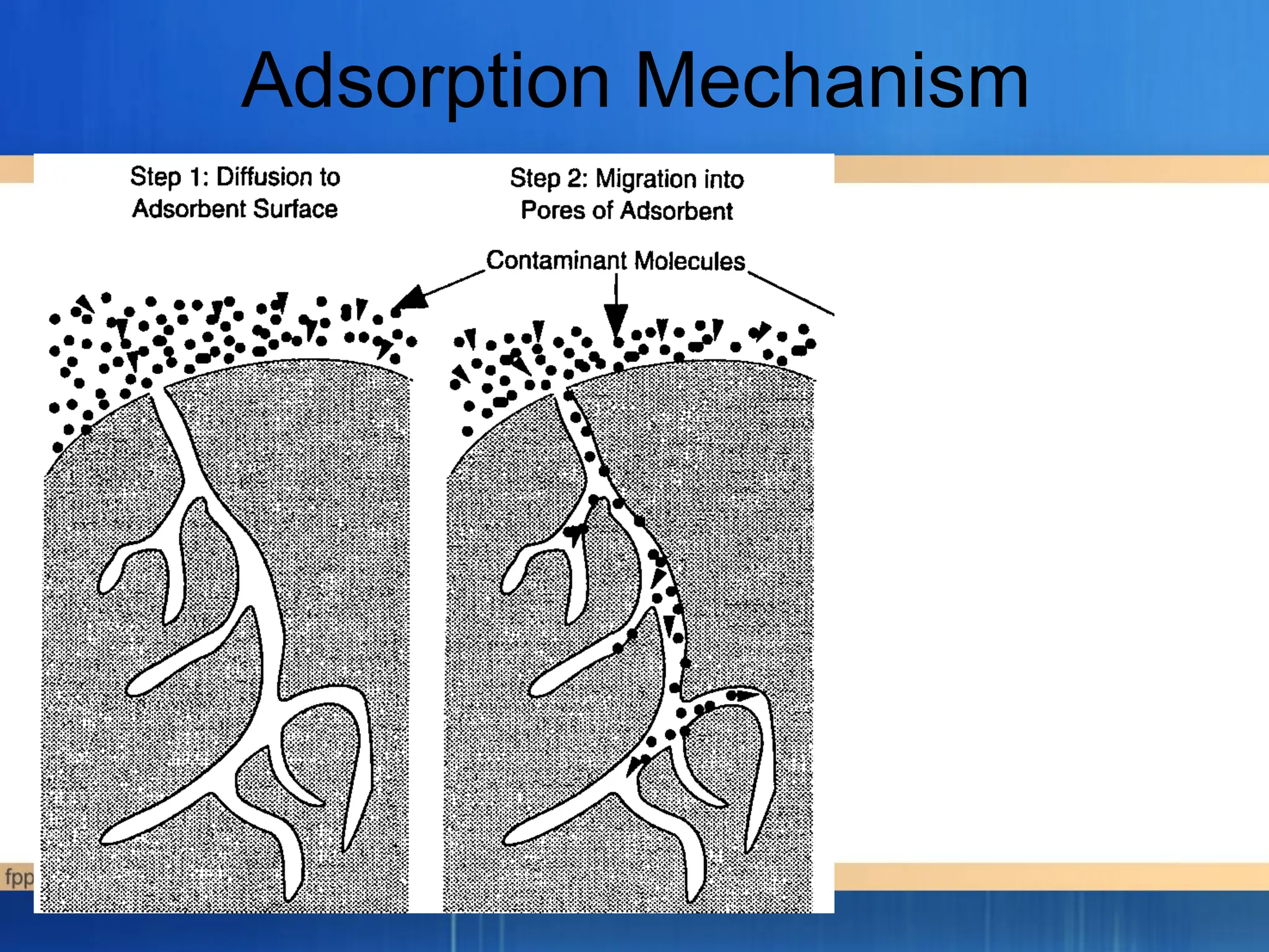 Adsorption Mechanism
 