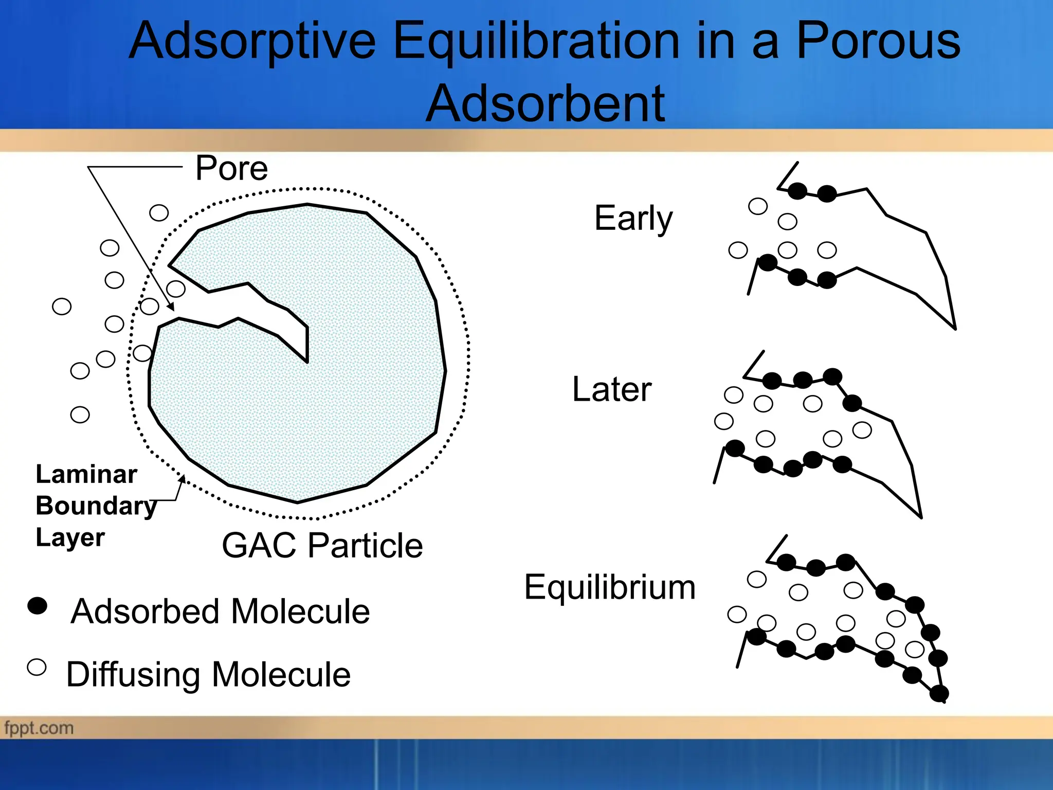 Adsorptive Equilibration in a Porous
Adsorbent
Adsorbed Molecule
Diffusing Molecule
Equilibrium
Pore
GAC Particle
Early
Later
Laminar
Boundary
Layer
 