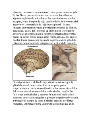 ellos son puestos en movimiento. Estas partes entonces jalan
de las fibras, que resulta en el que se abran las válvulas,
algunos espíritus de animales en los ventrículos cerebrales
escapan, y una imagen de baja presión del estímulo sensorial
aparece en la superficie de la glándula pineal. Es esta
imagen, que entonces causa percepción sensorial de blanco,
cosquillas, dolor, etc. Pero no se imprime en los órganos
sensoriales externos, ni en la superficie interna del cerebro,
cuales se deben tomar como ideas reales, de aquellas que se
pueden trazar como espíritus en la superficie de la glándula
H (donde se encuentra la imaginación y el sentido común).




De ahí podemos ir al día de hoy, donde se conoce que la
glándula pineal tiene cuatro funciones principales
empezando por causar sensación de sueño, convertir señales
del sistema nervioso en señales endocrinales, regular las
funciones endocrinales y secretar la hormona melatonina,
hormona que ayuda a regular el proceso de pubertad y ayuda
a proteger al cuerpo de daño a células causado por libres
radicales. Al parecer tiene un par de tareas más que en la
 
