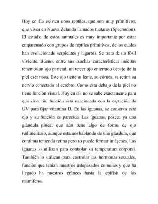 Hoy en día existen unos reptiles, que son muy primitivos,
que viven en Nueva Zelanda llamados tuataras (Sphenodon).
El estudio de estos animales es muy importante por estar
emparentado con grupos de reptiles primitivos, de los cuales
han evolucionado serpientes y lagartos. Se trata de un fósil
viviente. Bueno, entre sus muchas características inéditas
tenemos un ojo parietal, un tercer ojo enterrado debajo de la
piel escamosa. Este ojo tiene su lente, su córnea, su retina su
nervio conectado al cerebro. Como esta debajo de la piel no
tiene función visual. Hoy en día no se sabe exactamente para
que sirva. Su función esta relacionada con la captación de
UV para fijar vitamina D. En las iguanas, se conserva este
ojo y su función es parecida. Las iguanas, poseen ya una
glándula pineal que aún tiene algo de forma de ojo
rudimentario, aunque estamos hablando de una glándula, que
continua teniendo retina pero no puede formar imágenes. Las
iguanas lo utilizan para controlar su temperatura corporal.
También lo utilizan para controlar las hormonas sexuales,
función que tenían nuestros antepasados comunes y que ha
llegado ha nuestros cráneos hasta la epífisis de los
mamíferos.
 