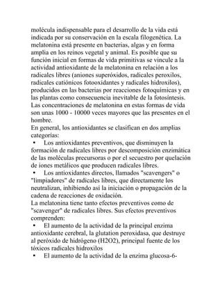 molécula indispensable para el desarrollo de la vida está
indicada por su conservación en la escala filogenética. La
melatonina está presente en bacterias, algas y en forma
amplia en los reinos vegetal y animal. Es posible que su
función inicial en formas de vida primitivas se vincule a la
actividad antioxidante de la melatonina en relación a los
radicales libres (aniones superóxidos, radicales peroxilos,
radicales catiónicos fotooxidantes y radicales hidroxilos),
producidos en las bacterias por reacciones fotoquímicas y en
las plantas como consecuencia inevitable de la fotosíntesis.
Las concentraciones de melatonina en estas formas de vida
son unas 1000 - 10000 veces mayores que las presentes en el
hombre.
En general, los antioxidantes se clasifican en dos amplias
categorías:
 Los antioxidantes preventivos, que disminuyen la
formación de radicales libres por descomposición enzimática
de las moléculas precursoras o por el secuestro por quelación
de iones metálicos que producen radicales libres.
 Los antioxidantes directos, llamados "scavengers" o
"limpiadores" de radicales libres, que directamente los
neutralizan, inhibiendo así la iniciación o propagación de la
cadena de reacciones de oxidación.
La melatonina tiene tanto efectos preventivos como de
"scavenger" de radicales libres. Sus efectos preventivos
comprenden:
 El aumento de la actividad de la principal enzima
antioxidante cerebral, la glutation peroxidasa, que destruye
al peróxido de hidrógeno (H2O2), principal fuente de los
tóxicos radicales hidroxilos
 El aumento de la actividad de la enzima glucosa-6-
 