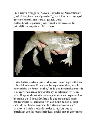 En la nueva entrega del “Joven Comedor de Psicodélicos”:
¿está el Aleph en una triptamina? ¿La sabiduría en un sapo?
Terence Macoña nos lleva al palacio de la
metoxidimetiltripamina y nos muestra los secretos del
psicodélico más potente del mundo.




Quién habría de decir que en el veneno de un sapo está toda
la luz del universo. Un verano, hace ya unos años, tuve la
oportunidad de fumar “sapito,” en lo que fue sin duda una de
las experiencias más memorables y transformativas de mi
vida. Después de asimilar esta experiencia, en la que aceleré
en menos de 15 segundos hacia lo que me pareció era el
centro ubicuo del universo y en ese punto de luz, el gran
estallido del fractal cósmico: la historia universal en 5
minutos, mi vida y todas las redes galácticas que se
entrelazan con las redes sinápticas, decidí que en ese veneno
 
