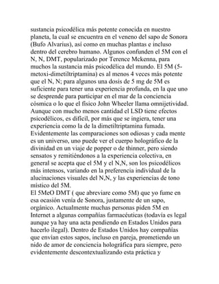 sustancia psicodélica más potente conocida en nuestro
planeta, la cual se encuentra en el veneno del sapo de Sonora
(Bufo Alvarius), así como en muchas plantas e incluso
dentro del cerebro humano. Algunos confunden el 5M con el
N, N, DMT, popularizado por Terence Mckenna, para
muchos la sustancia más psicodélica del mundo. El 5M (5-
metoxi-dimetiltriptamina) es al menos 4 veces más potente
que el N, N; para algunos una dosis de 5 mg de 5M es
suficiente para tener una experiencia profunda, en la que uno
se desprende para participar en el mar de la conciencia
cósmica o lo que el físico John Wheeler llama omnijetividad.
Aunque con mucho menos cantidad el LSD tiene efectos
psicodélicos, es difícil, por más que se ingiera, tener una
experiencia como la de la dimetiltriptamina fumada.
Evidentemente las comparaciones son odiosas y cada mente
es un universo, uno puede ver el cuerpo holográfico de la
divinidad en un viaje de popper o de thinner, pero siendo
sensatos y remitiéndonos a la experiencia colectiva, en
general se acepta que el 5M y el N,N, son los psicodélicos
más intensos, variando en la preferencia individual de la
alucinaciones visuales del N,N, y las experiencias de tono
místico del 5M.
El 5MeO DMT ( que abreviare como 5M) que yo fume en
esa ocasión venía de Sonora, justamente de un sapo,
orgánico. Actualmente muchas personas piden 5M en
Internet a algunas compañías farmacéuticas (todavía es legal
aunque ya hay una acta pendiendo en Estados Unidos para
hacerlo ilegal). Dentro de Estados Unidos hay compañías
que envían estos sapos, incluso en pareja, prometiendo un
nido de amor de conciencia holográfica para siempre, pero
evidentemente descontextualizando esta práctica y
 