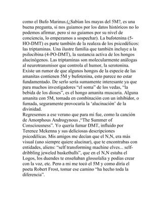 como el Bufo Marinus.(¿Sabían los mayas del 5M?, es una
buena pregunta, si nos guiamos por los datos históricos no lo
podemos afirmar, pero si no guiamos por su nivel de
conciencia, lo empezamos a sospechar). La bufotenina (5-
HO-DMT) es parte también de la realeza de los psicodélicos:
las triptaminas. Una ilustre familia que también incluye a la
psilocibina (4-PO-DMT), la sustancia activa de los hongos
alucinógenos. Las triptaminas son molecularmente análogas
al neurotransmisor que controla el humor, la serotonina.
Existe un rumor de que algunos hongos de la especie de las
amanitas contienen 5M y bufotenina, esto parece no estar
fundamentado. De serlo sería sumamente interesante ya que
para muchos investigadores “el soma” de los vedas, “la
bebida de los dioses”, es el hongo amanita muscaria. Alguna
amanita con 5M, tomada en combinación con un inhibidor, o
fumada, seguramente provocaría la ‘alucinación’ de la
divinidad.
Regresemos a ese verano que para mi fue, como la canción
de Amorphous Androgynous ,“The Summer of
Consciousness”. Yo quería fumar DMT, influido por
Terence Mckenna y sus deliciosas descripciones
psicodélicas. Mis amigos me decían que el N,N, era más
visual (uno siempre quiere alucinar), que te encontrabas con
entidades, aliens: “self transforming machine elves... self-
dribbling jeweled basketballs”, que en el N,N estaba el
Logos, los duendes te enseñaban glossolalia y podías crear
con la voz, etc. Pero a mi me tocó el 5M y como diría el
poeta Robert Frost, tomar ese camino “ha hecho toda la
diferencia”.
 