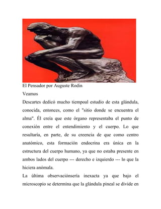 El Pensador por Auguste Rodin
Veamos
Descartes dedicó mucho tiempoal estudio de esta glándula,
conocida, entonces, como el "sitio donde se encuentra el
alma". Él creía que este órgano representaba el punto de
conexión entre el entendimiento y el cuerpo. Lo que
resultaría, en parte, de su creencia de que como centro
anatómico, esta formación endocrina era única en la
estructura del cuerpo humano, ya que no estaba presente en
ambos lados del cuerpo --- derecho e izquierdo --- lo que la
hiciera anómala.
La última observaciónsería inexacta ya que bajo el
microscopio se determina que la glándula pineal se divide en
 