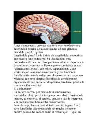 Antes de proseguir, creemos que sería oportuno hacer una
descripción concisa de las actividades de esta glándula
Glándula pineal o epífisis
La glándula pineal fue la última de las glándulas endocrinas
que tuvo su funcióndescrita. Su localización, muy
profundamente en el cerebro, pareció resaltar su importancia.
Esta última circunstancia, llevó a que se convirtiera en una
"glándula misteriosa", con mitos, supersticiones y aún
teorías metafísicas asociadas con ella y sus funciones.
En el hinduismo se la coliga con el sexto chacra o tercer ojo.
Mientras que otros sistema filosóficos la consideran un
órgano latente que puede ser despertado para hacer posible la
comunicación telepática.
El ojo humano
En nuestro cuerpo, por medio de sus mecanismos
sensoriales, el ojo percibe imágenes boca abajo. Enviando la
imagen, que observa, al cerebro, que, a su vez, la interpreta,
y la hace aparecer boca arriba para nosotros.
Pero el cuerpo humano está dotado con otro órgano físico
cuya función ha sido reconocida por mucho tiempo en
nuestro pasado. Se conoce como el "tercer ojo" --- que, en
 