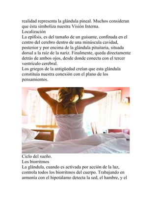 realidad representa la glándula pineal. Muchos consideran
que ésta simboliza nuestra Visión Interna.
Localización
La epífisis, es del tamaño de un guisante, confinada en el
centro del cerebro dentro de una minúscula cavidad,
posterior y por encima de la glándula pituitaria, situada
dorsal a la raíz de la nariz. Finalmente, queda directamente
detrás de ambos ojos, desde donde conecta con el tercer
ventrículo cerebral.
Los griegos de la antigüedad creían que esta glándula
constituía nuestra conexión con el plano de los
pensamientos.




Ciclo del sueño.
Los biorritmos
La glándula, cuando es activada por acción de la luz,
controla todos los biorritmos del cuerpo. Trabajando en
armonía con el hipotálamo detecta la sed, el hambre, y el
 