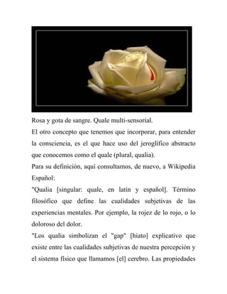 Rosa y gota de sangre. Quale multi-sensorial.
El otro concepto que tenemos que incorporar, para entender
la consciencia, es el que hace uso del jeroglífico abstracto
que conocemos como el quale (plural, qualia).
Para su definición, aquí consultamos, de nuevo, a Wikipedia
Español:
"Qualia [singular: quale, en latín y español]. Término
filosófico que define las cualidades subjetivas de las
experiencias mentales. Por ejemplo, la rojez de lo rojo, o lo
doloroso del dolor.
"Los qualia simbolizan el "gap" [hiato] explicativo que
existe entre las cualidades subjetivas de nuestra percepción y
el sistema físico que llamamos [el] cerebro. Las propiedades
 