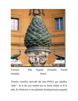 Vaticano     -    Piña    Gigante       (Glandula    Pineal)
Glandula                       Pineal


Término científico derivado del latín PINEA que significa
"piña" . Se le dio este nombre por su forma similar al de la
piña. En Medicina es una glándula fisiológicamente pequeña
 