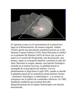 El siguiente avance en el conocimiento de la pineal tuvo
lugar en el Renacimiento. De manera singular, Andrés
Vesalio aportó una descripción anatómica precisa en su De
Humani Corporis Fabrica (1543). René Descartes la calificó
en su póstumo De Homine (1633) de tercer ojo, no por su
papel en el control del fotoperíodo, aún desconocido, sino
porque, según su concepción dualista, constituía la sede del
alma. Descartes le asignó, además, una función fisiológica:
incluida en el sistema nervioso, la glándula pineal se
encargaba de la percepción del entorno. Con ese
planteamiento se llega hasta el siglo XIX, cuando se abordó
la glándula pineal de los mamíferos desde distintos frentes
--anatómico, histológico y embriológico-- y se mostró su
semejanza con la epífisis de vertebrados inferiores. En 1905,
Studnicka estableció que la pineal derivaba
filogenéticamente de un órgano fotorreceptor con función
desconocida.
 