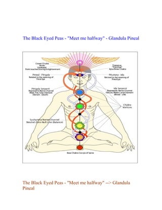 The Black Eyed Peas - "Meet me halfway" - Glandula Pineal




The Black Eyed Peas - "Meet me halfway" --> Glandula
Pineal
 