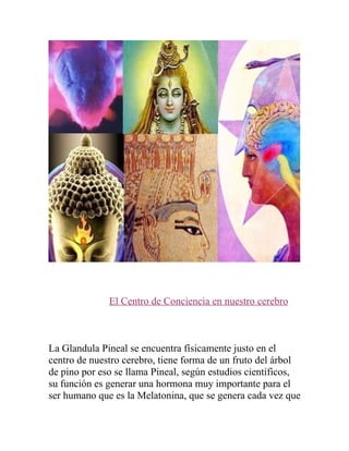 El Centro de Conciencia en nuestro cerebro



La Glandula Pineal se encuentra físicamente justo en el
centro de nuestro cerebro, tiene forma de un fruto del árbol
de pino por eso se llama Pineal, según estudios científicos,
su función es generar una hormona muy importante para el
ser humano que es la Melatonina, que se genera cada vez que
 