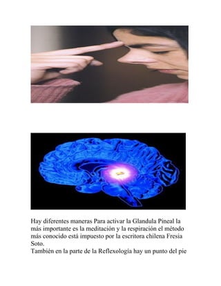 Hay diferentes maneras Para activar la Glandula Pineal la
más importante es la meditación y la respiración el método
más conocido está impuesto por la escritora chilena Fresia
Soto.
También en la parte de la Reflexología hay un punto del pie
 