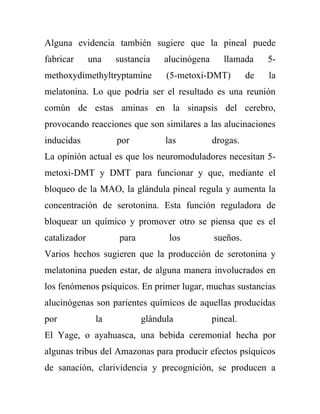 Alguna evidencia también sugiere que la pineal puede
fabricar      una   sustancia    alucinógena      llamada     5-
methoxydimethyltryptamine         (5-metoxi-DMT)         de   la
melatonina. Lo que podría ser el resultado es una reunión
común de estas aminas en la sinapsis del cerebro,
provocando reacciones que son similares a las alucinaciones
inducidas           por           las          drogas.
La opinión actual es que los neuromoduladores necesitan 5-
metoxi-DMT y DMT para funcionar y que, mediante el
bloqueo de la MAO, la glándula pineal regula y aumenta la
concentración de serotonina. Esta función reguladora de
bloquear un químico y promover otro se piensa que es el
catalizador          para          los         sueños.
Varios hechos sugieren que la producción de serotonina y
melatonina pueden estar, de alguna manera involucrados en
los fenómenos psíquicos. En primer lugar, muchas sustancias
alucinógenas son parientes químicos de aquellas producidas
por            la           glándula           pineal.
El Yage, o ayahuasca, una bebida ceremonial hecha por
algunas tribus del Amazonas para producir efectos psíquicos
de sanación, clarividencia y precognición, se producen a
 