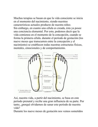 Muchas terapias se basan en que la vida consciente se inicia
en el momento del nacimiento, siendo nuestras
características actuales producto de nuestra niñez.
Sin embargo, en cuanto una célula es creada, ésta ya posee
una conciencia elemental. Por esto, podemos decir que la
vida comienza en el momento de la concepción, cuando se
forma la primera célula. durante el período de gestación (los
nueve meses que transcurren entre la concepción y el
nacimiento) se establecen todas nuestras estructuras físicas,
mentales, emocionales y de comportamiento.




Así, nuestra vida, a partir del nacimiento, se basa en este
período prenatal y recibe una gran influencia de su parte. Por
tanto, ¿porqué olvidarnos de sanar este período de nuestra
vida?
Durante los nueve meses de gestación nos vemos sometidos
 