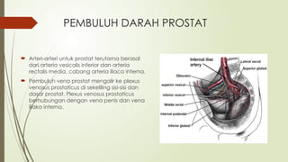 Venosus Prostaticus laporan kasus BPH, presentasi kasus tentang BPH | PPTX