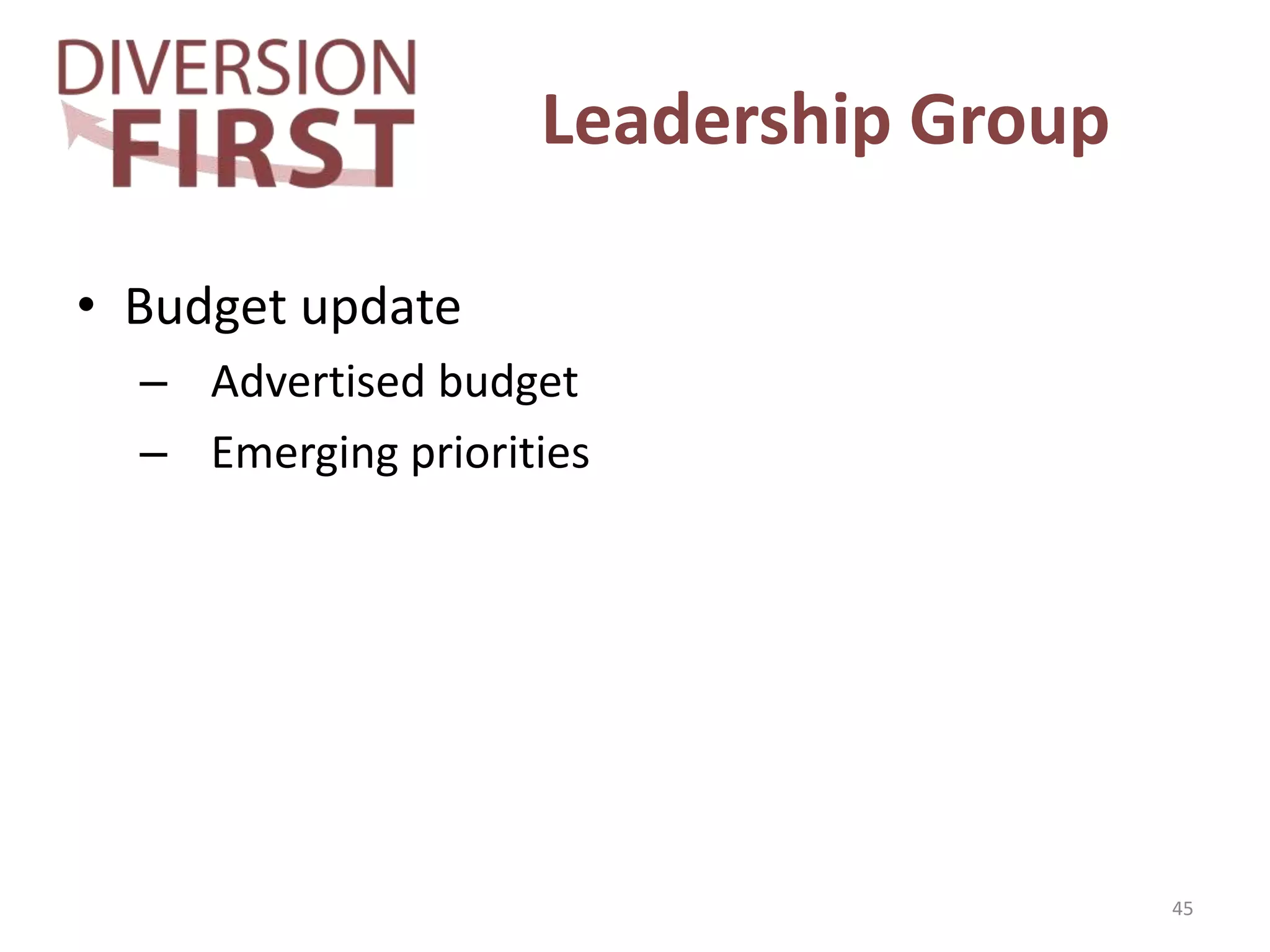 Leadership Group
• Budget update
– Advertised budget
– Emerging priorities
45
 