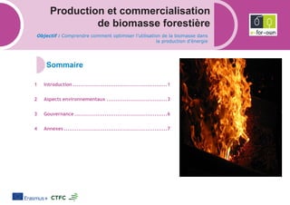 Production et commercialisation
de biomasse forestière
Objectif : Comprendre comment optimiser l’utilisation de la biomasse dans
la production d’énergie
Introduction .....................................................1
Aspects environnementaux ..................................3
Gouvernance ....................................................6
Annexes ..........................................................7
 
