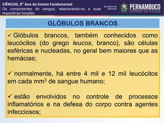GLÓBULOS BRANCOS
 Glóbulos brancos, também conhecidos como
leucócitos (do grego leucos, branco), são células
esféricas e nucleadas, no geral bem maiores que as
hemácias;
 normalmente, há entre 4 mil e 12 mil leucócitos
em cada mm3 de sangue humano;
 estão envolvidos no controle de processos
inflamatórios e na defesa do corpo contra agentes
infecciosos;
CIÊNCIAS, 8° Ano do Ensino Fundamental
Os componentes do sangue, relacionando-os a suas
respectivas funções
 