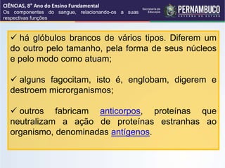  há glóbulos brancos de vários tipos. Diferem um
do outro pelo tamanho, pela forma de seus núcleos
e pelo modo como atuam;
 alguns fagocitam, isto é, englobam, digerem e
destroem microrganismos;
 outros fabricam anticorpos, proteínas que
neutralizam a ação de proteínas estranhas ao
organismo, denominadas antígenos.
CIÊNCIAS, 8° Ano do Ensino Fundamental
Os componentes do sangue, relacionando-os a suas
respectivas funções
 