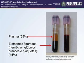 Imagem: Fototagrafado por User:Jheuser / Amostra de
sangue humano coletado para realização de exames
laboratoriais / GNU Free Documentation License.
Plasma (55%)
Elementos figurados
(hemácias, glóbulos
brancos e plaquetas)
(45%)
CIÊNCIAS, 8° Ano do Ensino Fundamental
Os componentes do sangue, relacionando-os a suas
respectivas funções
 