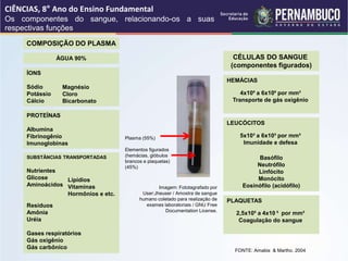CIÊNCIAS, 8° Ano do Ensino Fundamental
Os componentes do sangue, relacionando-os a suas
respectivas funções
FONTE: Amabis & Martho. 2004
COMPOSIÇÃO DO PLASMA
ÁGUA 90%
ÍONS
Sódio
Potássio
Cálcio
Magnésio
Cloro
Bicarbonato
PROTEÌNAS
Albumina
Fibrinogênio
Imunoglobinas
SUBSTÂNCIAS TRANSPORTADAS
Nutrientes
Glicose
Aminoácidos
Resíduos
Amônia
Uréia
Gases respiratórios
Gás oxigênio
Gás carbônico
Lipídios
Vitaminas
Hormônios e etc.
CÉLULAS DO SANGUE
(componentes figurados)
HEMÁCIAS
4x10⁶ a 6x10⁶ por mm³
Transporte de gás oxigênio
LEUCÓCITOS
Basófilo
Neutrófilo
Linfócito
Monócito
Eosinófilo (acidófilo)
5x10³ a 6x10³ por mm³
Imunidade e defesa
PLAQUETAS
2,5x10⁵ a 4x10 ⁵ por mm³
Coagulação do sangue
Imagem: Fototagrafado por
User:Jheuser / Amostra de sangue
humano coletado para realização de
exames laboratoriais / GNU Free
Documentation License.
Plasma (55%)
Elementos figurados
(hemácias, glóbulos
brancos e plaquetas)
(45%)
 