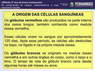 A ORIGEM DAS CÉLULAS SANGUÍNEAS
Os glóbulos vermelhos são produzidos na parte interna
dos ossos longos, também conhecida como medula
óssea vermelha.
Essas células vivem no sangue por aproximadamente
120 dias. Após esse período, as células são destruídas
no baço, no fígado e na própria medula óssea.
Os glóbulos brancos se originam na medula óssea
vermelha e em outros órgãos do corpo, como o baço e o
timo. O tempo de vida do glóbulo branco varia desde
algumas horas até meses ou anos.
CIÊNCIAS, 8° Ano do Ensino Fundamental
Os componentes do sangue, relacionando-os a suas
respectivas funções
 