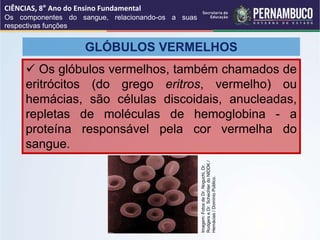GLÓBULOS VERMELHOS
 Os glóbulos vermelhos, também chamados de
eritrócitos (do grego eritros, vermelho) ou
hemácias, são células discoidais, anucleadas,
repletas de moléculas de hemoglobina - a
proteína responsável pela cor vermelha do
sangue.
CIÊNCIAS, 8° Ano do Ensino Fundamental
Os componentes do sangue, relacionando-os a suas
respectivas funções
Imagem:
Fotos
de
Dr.
Noguchi,
Dr.
Rodgers
e
Dr.
Schechter
do
NIDDK
/
Hemácias
/
Domínio
Público.
 