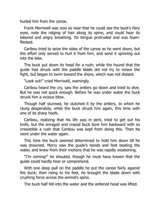 hurled him from the canoe.
Frank Merriwell was now so near that he could see the buck’s fiery
eyes, note the ridging of hair along its spine, and could hear its
labored and angry breathing. Its tongue protruded and was foam-
flecked.
Caribou tried to seize the sides of the canoe as he went down, but
the effort only served to hurl it from him, and send it spinning out
into the lake.
The buck put down its head for a rush; while the hound that the
guide had struck with the paddle blade did not try to renew the
fight, but began to swim toward the shore, which was not distant.
“Look out!” cried Merriwell, warningly.
Caribou heard the cry, saw the antlers go down and tried to dive.
But he was not quick enough. Before he was under water the buck
struck him a vicious blow.
Though half stunned, he clutched it by the antlers, to which he
clung desperately, while the buck struck him again, this time with
one of its sharp hoofs.
Caribou, realizing that his life was in peril, tried to get out his
knife, but the enraged and crazed buck bore him backward with so
irresistible a rush that Caribou was kept from doing this. Then he
went under the water again.
This time the buck seemed determined to hold him down till he
was drowned. Merry saw the guide’s hands and feet beating the
water, and knew from their motions that he was rapidly weakening.
“I’m coming!” he shouted, though he must have known that the
guide could hardly hear or comprehend.
With one deep pull on the paddle he put the canoe fairly against
the buck; then rising to his feet, he brought the blade down with
crushing force across the animal’s spine.
The buck half fell into the water and the antlered head was lifted.
 
