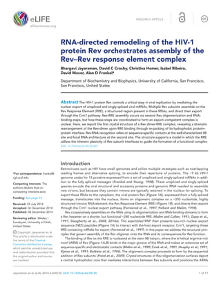 elifesciences.org
Jayaraman et al. eLife 2014;3:e04120. DOI: 10.7554/eLife.04120	 1 of 17
RNA-directed remodeling of the HIV-1
protein Rev orchestrates assembly of the
Rev–Rev response element complex
Bhargavi Jayaraman, David C Crosby, Christina Homer, Isabel Ribeiro,
David Mavor, Alan D Frankel*
Department of Biochemistry and Biophysics, University of California, San Francisco,
San Francisco, United States
Abstract The HIV-1 protein Rev controls a critical step in viral replication by mediating the
nuclear export of unspliced and singly-spliced viral mRNAs. Multiple Rev subunits assemble on the
Rev Response Element (RRE), a structured region present in these RNAs, and direct their export
through the Crm1 pathway. Rev-RRE assembly occurs via several Rev oligomerization and RNA-
binding steps, but how these steps are coordinated to form an export–competent complex is
unclear. Here, we report the first crystal structure of a Rev dimer-RRE complex, revealing a dramatic
rearrangement of the Rev-dimer upon RRE binding through re-packing of its hydrophobic protein–
protein interface. Rev-RNA recognition relies on sequence-specific contacts at the well-characterized IIB
site and local RNA architecture at the second site. The structure supports a model in which the RRE
utilizes the inherent plasticity of Rev subunit interfaces to guide the formation of a functional complex.
DOI: 10.7554/eLife.04120.001
Introduction
Retroviruses such as HIV have small genomes and utilize multiple strategies such as overlapping
reading frames and alternative splicing, to encode their repertoire of proteins. The ∼9 kb HIV-1
genome codes for 15 proteins expressed from a set of unspliced and singly-spliced mRNAs in addi-
tion to the fully spliced messages (Frankel and Young, 1998). These unspliced and singly-spliced
species encode the viral structural and accessory proteins and genomic RNA needed to assemble
new virions, but because they contain introns are typically retained in the nucleus for splicing. To
export these RNAs to the cytoplasm, the viral protein Rev (Figure 1A), expressed from a fully spliced
message, translocates into the nucleus, forms an oligomeric complex on a ∼350 nucleotide, highly
structured intronic RNA element, the Rev Response Element (RRE) (Figure 1B), and directs their export
through the Crm1 nuclear export pathway (Fornerod et al., 1997; Pollard and Malim, 1998).
Rev cooperatively assembles on the RNA using its oligomerization and RNA-binding domains to form
a Rev hexamer on a shorter, but functional ∼240 nucleotide RRE (Malim and Cullen, 1991; Zapp et al.,
1991; Daugherty et al., 2008, 2010a). This assembled RNP then presents Leu-rich nuclear export
sequence (NES) peptides (Figure 1A) to interact with the host export receptor, Crm1, targeting these
RRE-containing mRNAs for export (Fornerod et al., 1997). In this paper we address the structural prin-
ciples that govern assembly of the Rev oligomer onto the RNA and its consequences for Rev function.
The binding of Rev to the RRE is nucleated at the stem IIB hairpin, where the α-helical arginine-rich
motif (ARM) of Rev (Figure 1A,B) binds in the major groove of the RNA and makes an extensive set of
sequence-specific and electrostatic contacts (Malim et al., 1990; Cook et al., 1991; Heaphy et al., 1991;
Kjems et al., 1991; Battiste et al., 1996). The oligomeric complex proceeds to form by the sequential
addition of Rev subunits (Pond et al., 2009). Crystal structures of Rev oligomerization surfaces depict
a central hydrophobic core that mediates interactions between Rev subunits and positions the ARMs
*For correspondence: frankel@
cgl.ucsf.edu
Competing interests: The
authors declare that no
competing interests exist.
Funding: See page 14
Received: 22 July 2014
Accepted: 06 December 2014
Published: 08 December 2014
Reviewing editor: Wesley I
Sundquist, University of Utah,
United States
Copyright Jayaraman et al.
This article is distributed under
the terms of the Creative
Commons Attribution License,
which permits unrestricted use
and redistribution provided that
the original author and source
are credited.
RESEARCH ARTICLE
 